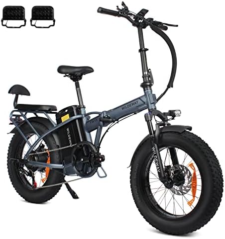 Wildeway 48V 32AH Electric Bike FW11 with High-Capacity Removable Battery, 750W Motor and Foldable 20" Fat Tire Electric Bicycle for Men and Women, 30 MPH Snow Beach Mountain Ebike for Adults