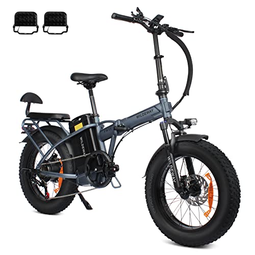 Wildeway 48V 32Ah Electric Bike Fw11 With High-Capacity Removable Battery, 750W Motor And Foldable 20" Fat Tire Electric Bicycle For Men And Women, 30 Mph Snow Beach Mountain Ebike For Adults #TOP21