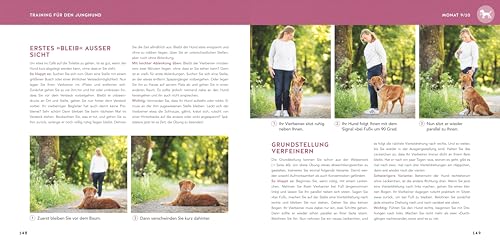 Welpen-Erziehung: Der 8-Wochen-Trainingsplan für Welpen. PLUS: Jung-Hund-Training vom 5. bis zum 12. Monat. Der Top-Seller - über 250.000 verkaufte Exemplare! (GU Welpen)