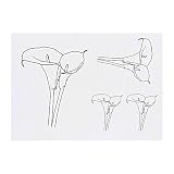 Azeeda 4 x 'Calla Lilies' Temporary Tattoos - Water Resistant, Skin-Safe, Non-Toxic Transfers, Mixed Sizes (TO00042071)
