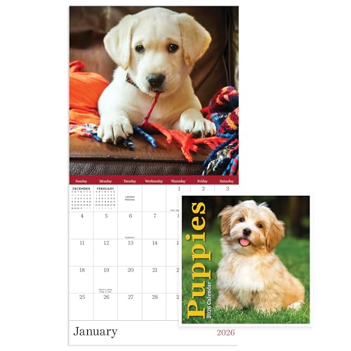 TF Publishing 2026 Puppies Mini Calendar with Monthly Grids for Appointments and Scheduling - Vertical Small Wall Calendar 2026 with Premium Gloss Paper for Home and Office Organization - 7x7in