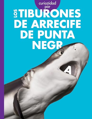Curiosidad por los tiburones de arrecife de punta negra