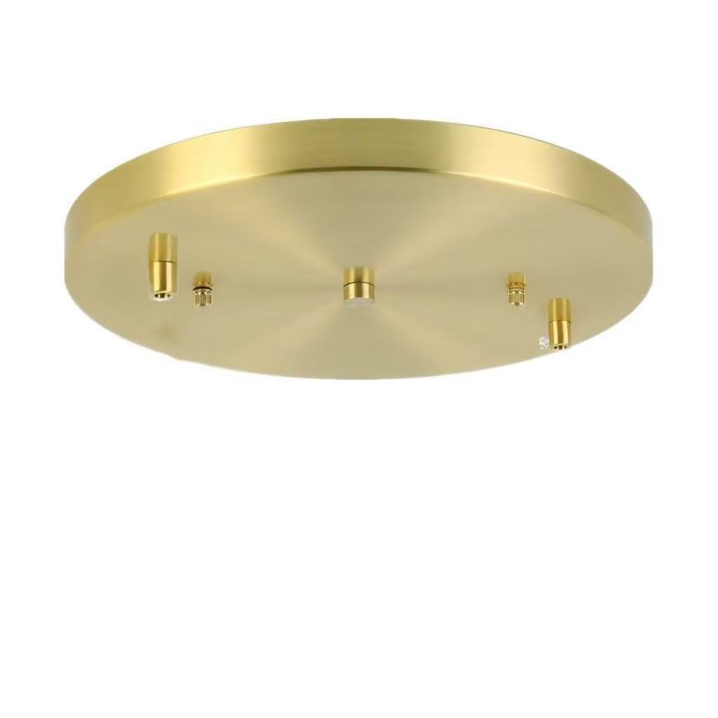 DESHOME 20cm Round Ceiling Rose Cover Brass 2 Hole Metal Chassis Pendant Light Fitting Kit, Ceiling Canopy Cover Plate with Accessories(Wire not Included), for Ceiling Lights, Hanging Fixture