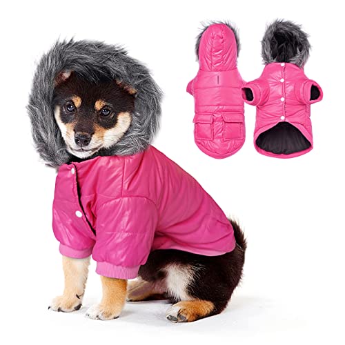 Enjoying Dog Warm Winter Coat Doggy Jacket Hoodie Coats for Small Dogs Windproof Snowsuit Cat Cold Winter Clothing, Large