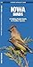 Iowa Birds: A Folding Pocket Guide to Familiar Species (A Pocket Naturalist Guide)