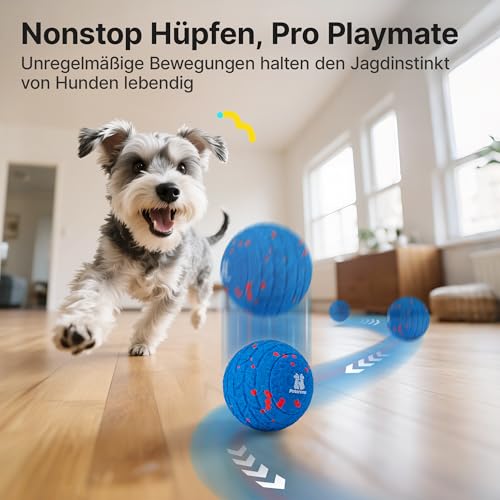 Potaroma Hundespielzeug, interaktiv, selbstrollender Hundeball, 3 Modi, automatischer Hüpfball aus unzerstörbarem E-TPU, Spielzeug für kleine, mittelgroße & große Hunde, USB-aufladbar, 8,1 cm
