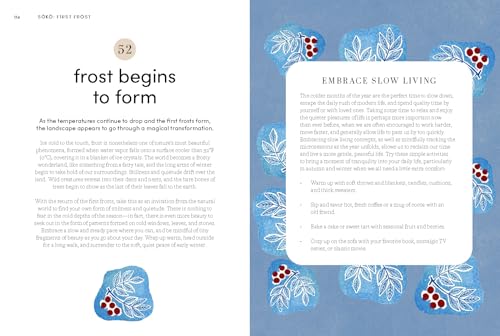 Microseasons: A Slow-Living Guide to the Year Following the Traditional Japanese Calendar - Image 20