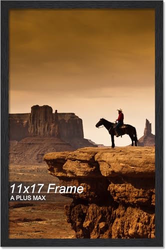A PLUS MAX 11x17 Picture Frame Black Light Weight Wall Mount