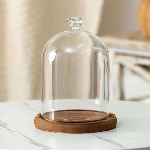 12 * 16cm Big Size Antique Base Different Top Glass Dome Vase Home Decoration Transparent Candle Cover Wedding Friend Favor Gift (1set Ball Dome Base)