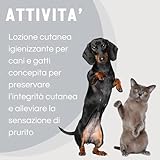 Zoom IMG-1 slais srl argenial spray per Zoom IMG-1 slais srl argenial spray per