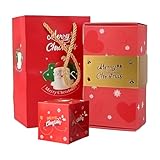 Miyanvuo Faltbare Sprungbox Für Weihnachten - DIY Weihnachtliche Sprungbox Für Geschenke,Weihnachtsgeschenke für Familie Freunde Eltern Lehrer,Familien Freunde Feierplaner Lehrer Festliche