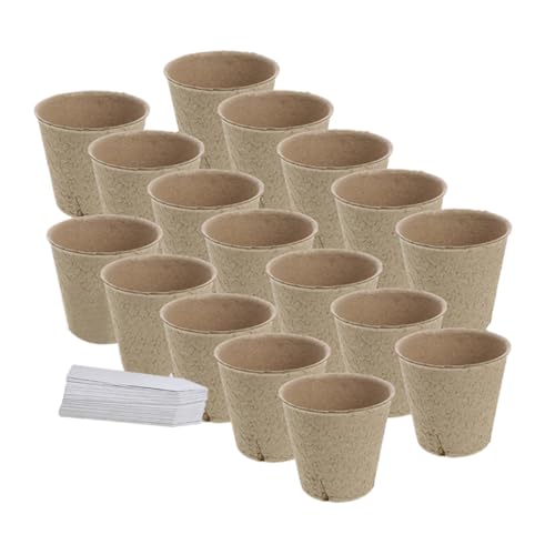 CIYODO 1Set Flowerpot Planter Pots with Drainage Labels for Succulent Landscape Plants for Use