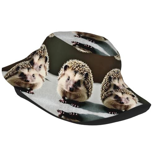 Cute Hedgehog Adult Unisex Sunshade Bucket hat, Non-Shrinking, Lightweight, Breathable, Foldable, Easy to Store Black2