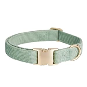 YUDOTE Collier pour chien ultra doux en velours côtelé naturel fabriqué pour les petits chiens à peau sensible, vert sauge