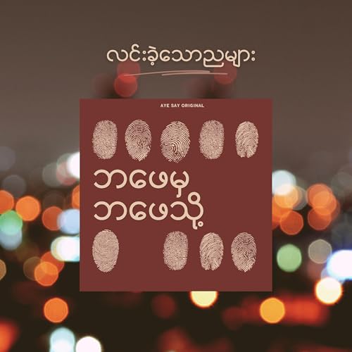 Page de couverture de လင်းခဲ့သောညများ