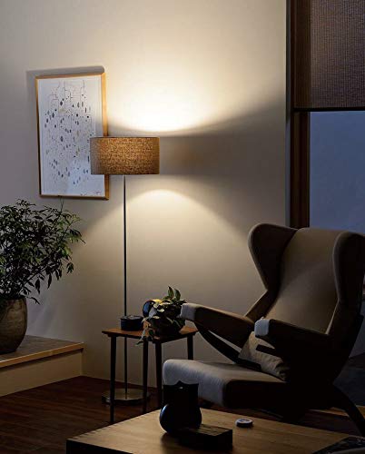 Amazon.co.jp: ODELIC スタンド フロアスタンド 電球色 R15高演色LED