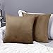 Deconovo Set da 2 Federe Cuscini 40x40 CM per Divano Camera da Letto, Fodere Moderne Morbido Resistente, in Velluto, con la Cerniera Invisibile, Taupe