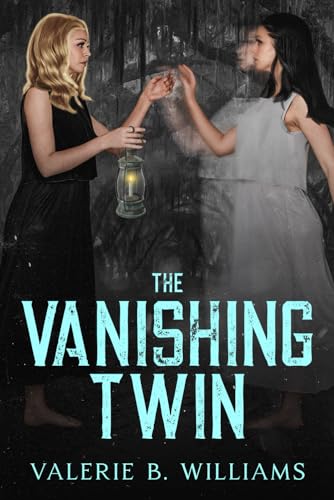 Cover of The Vanishing Twin