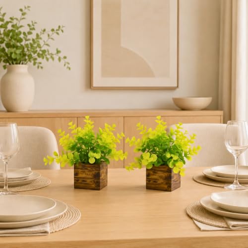 Image of DecoreBugs Artificial Eucalyptus Plant with Plastic Pot (Pack of 2) | 12 cm Height | Mini Potted Plants for Shelf Decor, Home, Office, Living Room, Desk & Table Item Decoration
