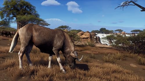 Way Of The Hunter [Hunting Season One] Xbox Series X Us - vue 6