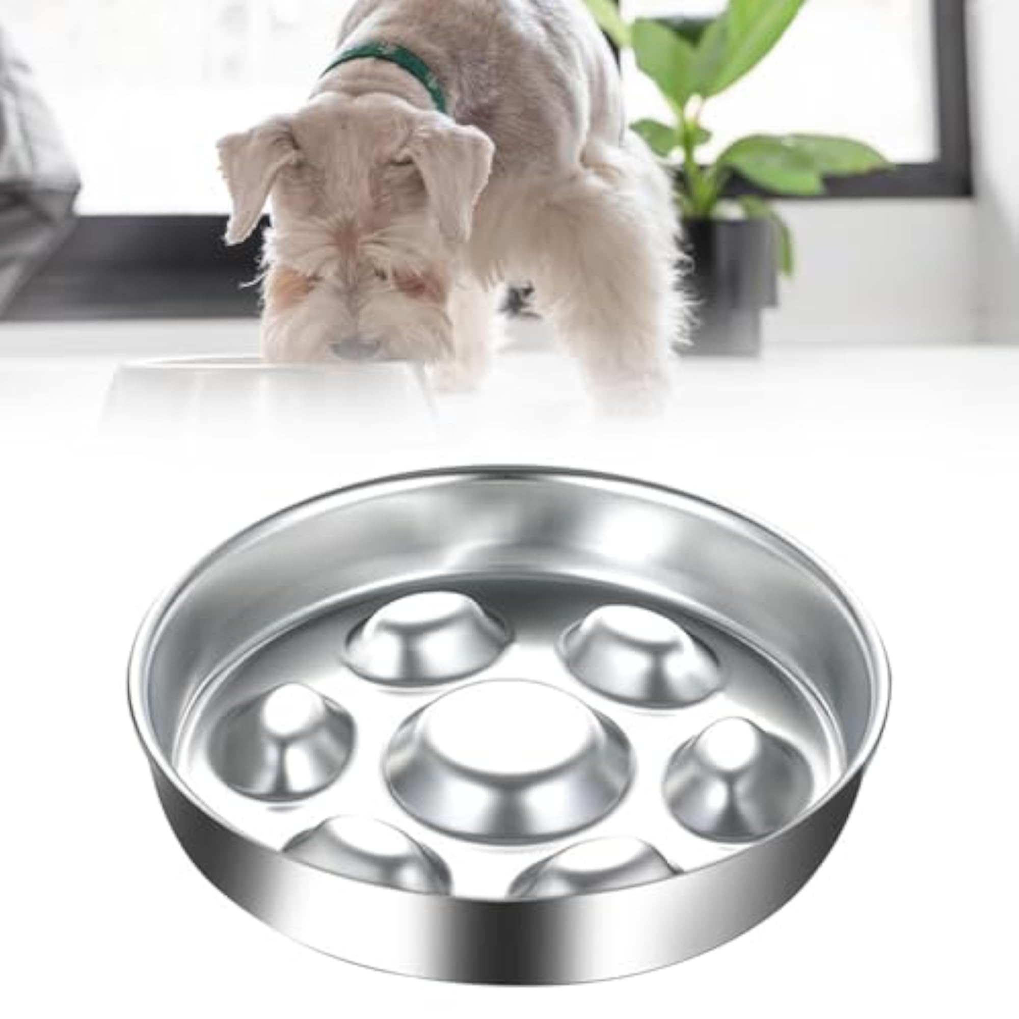Slow Feeder Dog Bowl, Anti-Overeating Design