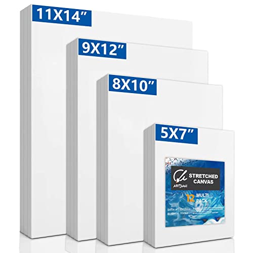 Amazon Best Sellers Best Canvas Pads