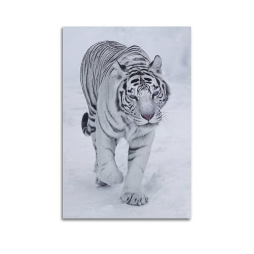 Poster tigre blanc 60 x 90 cm pour habiller un mur vide avec style