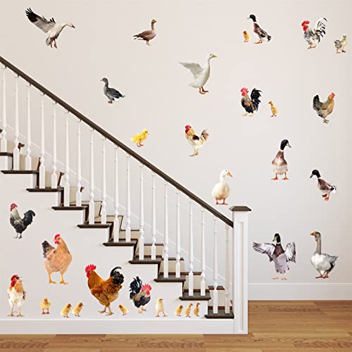 Rooster Wall Stickers Kitchen Wall Decals Peel And Stick Funny Animal Wall Stickers Cute Farm Chicken Wall Decals Rooster Cabinet Door Stickers Farmhouse Chicks Hen Window Stickers #TOP6