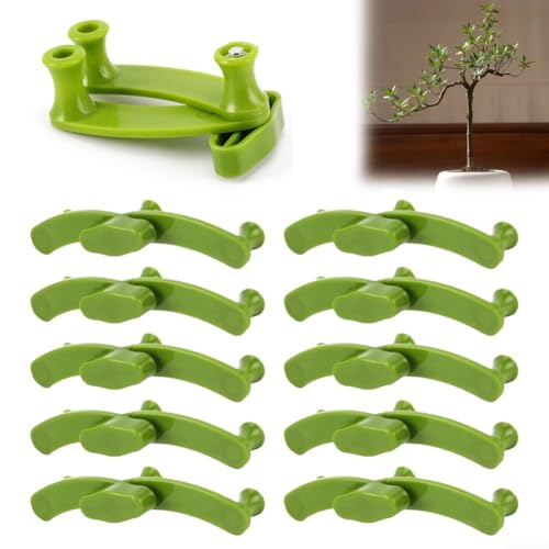 10 modellatori per rami, strumento di supporto regolabile per rami di alberi da frutto, allunga efficacemente i rami per migliorare l'esposizione alla luce solare e la circolazione dell'aria per la