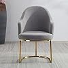 HOUKAI Moderne Fer doré métal Velours Royals Chaise de Salle à Manger Habillage café Salon Chaise Hall Jardin étude Princesse Prince chaises (Color : Gray), Gris