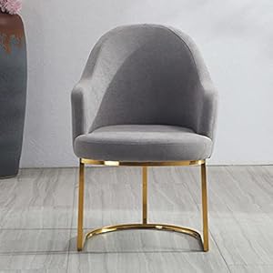 HOUKAI Moderne Fer doré métal Velours Royals Chaise de Salle à Manger Habillage café Salon Chaise Hall Jardin étude Princesse Prince chaises (Color : Gray), Gris