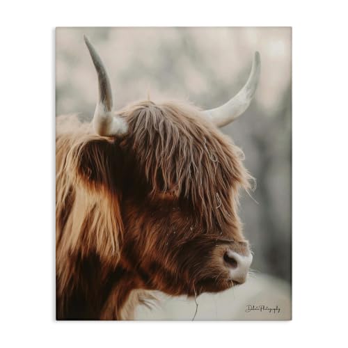Stupell Industries Calm Highland Cow Portrait, 16 x 20 Inch Canvas Wall Art