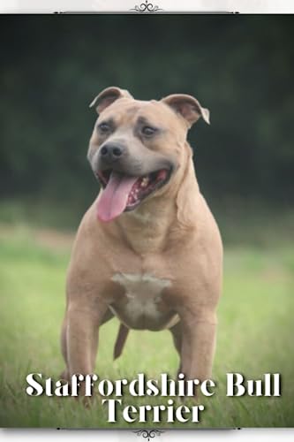 Staffordshire Bull Terrier: Dog breed overview and guide