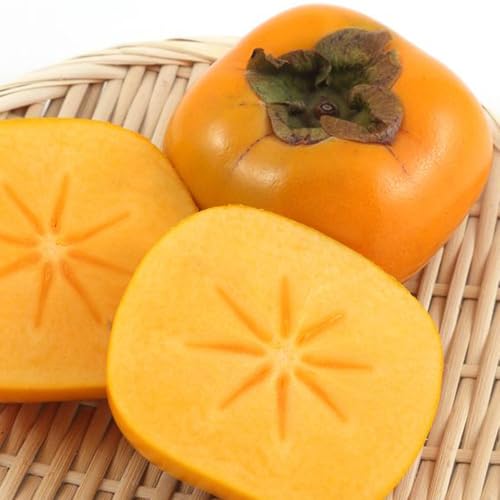 [先行予約]和歌山の たねなし柿 秀品 約7.5Kg L~4Lサイズ