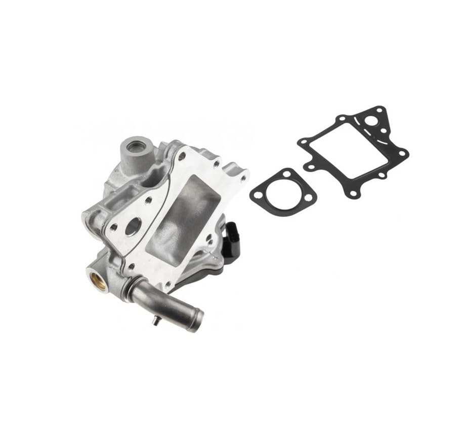 Valvola EGR Ricircolo Gas di Scarico 2.3 D 3.0 D per Jumper II Ducato III Boxer Reambio OEM 71795127 504373660 71795169 71795170 162645 V24630030 717730165