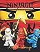 Ninjago Livre De Coloriage: +50 DESSIN SIMPLE ET DE HAUTE QUALITÉ Ninjago