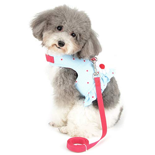 SMALLLEE_LUCKY_STORE Bow Flower Striped Print Cat Small Dog Harness Dress with Leash for Girls Adjustable No Pull Escape Proof Soft Walking Jacket Waterproof Puppies Kitten Harness Vest Outdoor,Blue S