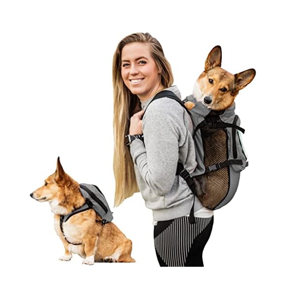 K9 Sport Sack Walk-On | Dog Carrier Dog Backpack with Harness & Storage (Extra Small, Shark Skin Gray)