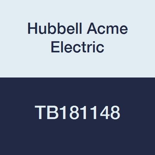 Acme Electric TB181148 Open Core and Coil Industrial Control Transformer, Single Phase, 120V x 240V Primary Volts, 12V/24V Secondary Volts, 50 Hz/60 Hz, 0.35 kVA