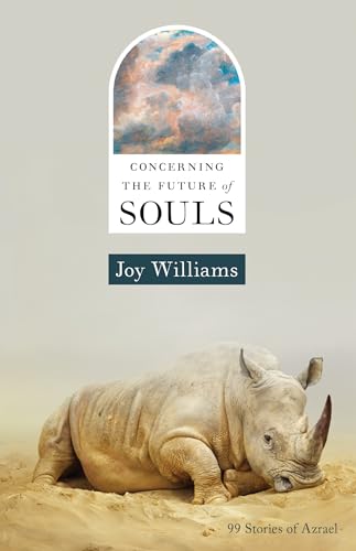 Concerning the Future of Souls