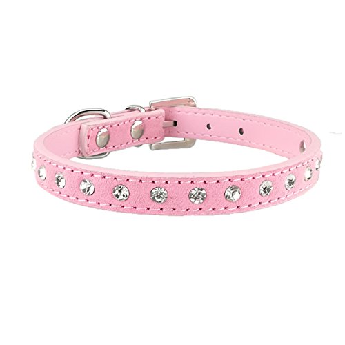 Newtensina Simpatico collare per cuccioli Diamante Bling Colletto in pelle scamosciata per cani di piccola taglia