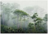 WallArena - Papel pintado en textil no tejido Bosque Paisaje 350x250 cm - Fotomurales - Papeles Pintados - para Salón Dormitorio - Vinilo adhesivo Mural con Efecto 3D - Incluye cola - Niebla Verde
