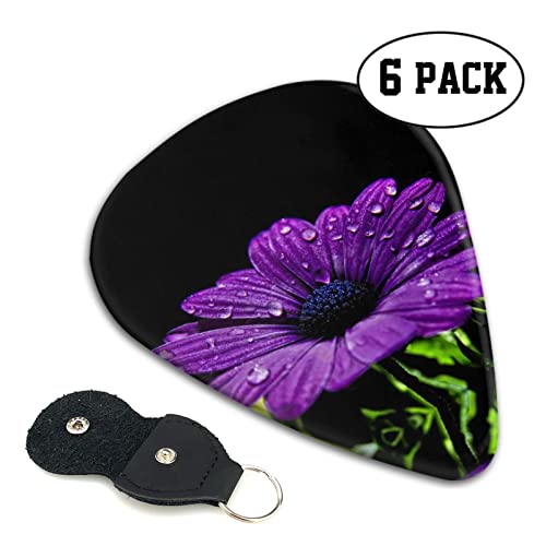 Purple Daisy Lot de 6 médiators pour guitare acoustique, guitare électrique, basse, ukulélé – fins, moyens et épais - Les Beatles, Paul McCartney, John Lennon, RIngo Starr, George Harrison Purple Daisy Lot de 6 médiators pour guitare acoustique, guitare électrique, basse, ukulélé – fins, moyens et épais – Image 3