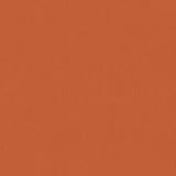 PUMPKIN PATCH - 12x12 Cardstock by Bazzill Fourz | 80 lb textured Orange Scrapbook Paper | Premium Card Making Cardstock for Paper Crafts | 25 Sheets