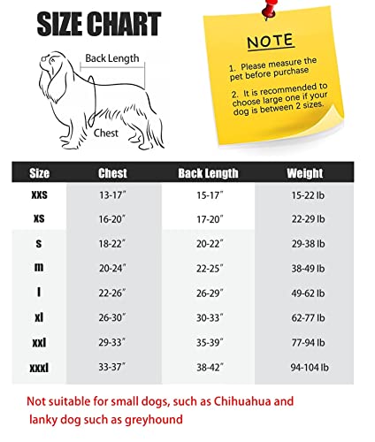 Heywean Full Body Dog Diaper With A Puppy Nappies Physiological Dog Surgery Recovery Suit For Male Female Dogs #TOP5