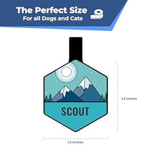 GoTags Silent Dog Tag, Personalized Engraved Silicone Dog and Cat Name Pet ID Tags, Soundless No More Jingling Dog Tags (Forest Gold)