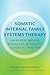 Somatic Internal Family Systems Therapy: Awareness, Breath, Resonance, Movement, and Touch in Practice--Endorsed by top experts in therapeutic healing modalities