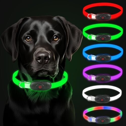 AUAUY LED Leuchthalsband Hund mit D-Ring, Wasserdicht 5 Farben 3 Leuchtmodi | Haustier Sicherheit Kragen, USB Aufladbar, Längenverstellbarer, Zuschneidbares Leuchthalsband, für Kle