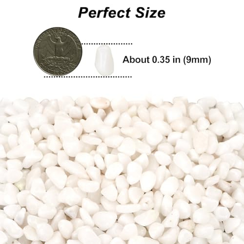 Image of Landscaping Pebbles, White River Rocks, Ornamental Decor Stones, 1 Pound