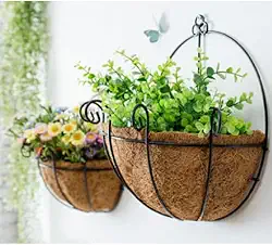 Kit Meio Vaso 35cm Parede De Ferro Com Fibra Coco (1)